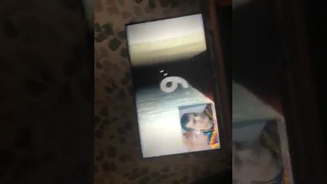 Попробуй не испугаться от скримера