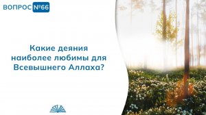 Вопрос № 66. Какие деяния наиболее любимы для Всевышнего Аллаха? | Абу Яхья Крымский