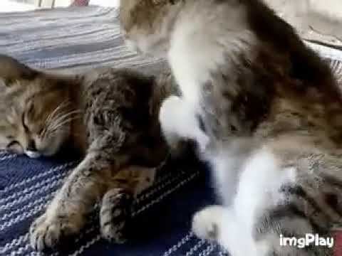 Так теплее... смотреть онлайн