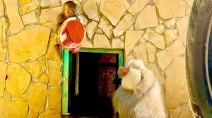 Семья Люси уже просто ЗАЕЛАСЬ и я пошла к юному дебоширу Степке )