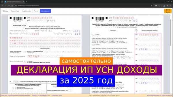 Декларация УСН за 2025 год для ИП Доходы без сотрудников - самостоятельное заполнение
