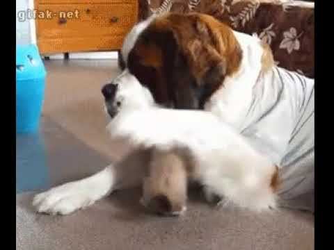 Не баловаться! смотреть онлайн