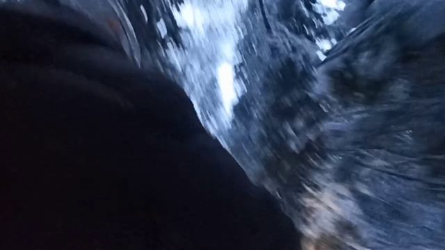 28декабря ДР у Коли