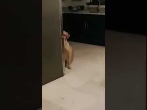 А я все вижу!!! смотреть онлайн