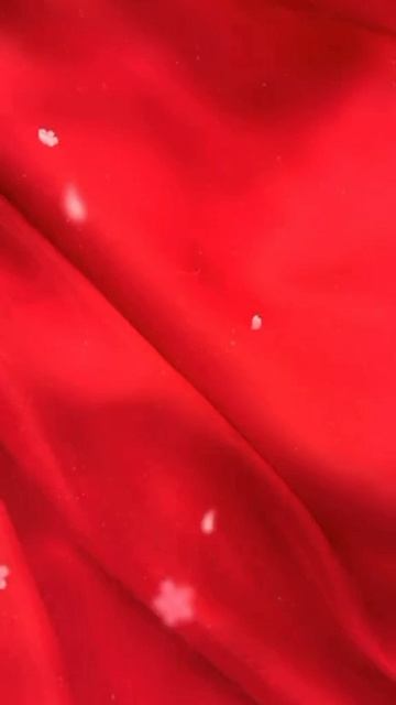 LADY IN RED SILK