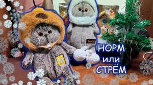 🎄🐱Норм или Стрём с котами Басиками новогодняя версия 🎅🐱 Голосуй: НОРМ ✅ или СТРЕМ ❌?