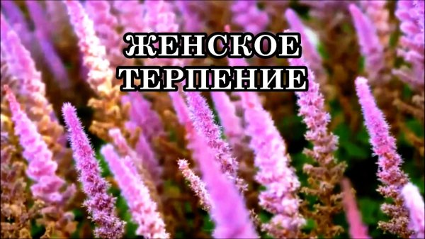 ЖЕНСКОЕ ТЕРПЕНИЕ – НЕОТЪЕМЛЕМЫЙ АТРИБУТ ЯСНОВИДЕНИЯ. КАК ПРИМЕНЯТЬ СИЛУ ТЕРПЕНИЯ ГРАМОТНО?