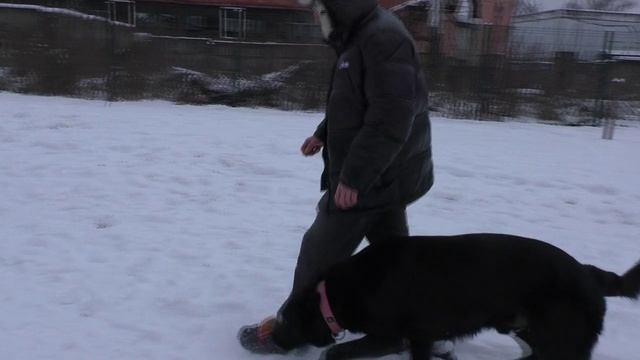 ПРК_Рейган Рей