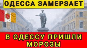 Одесситы замерзают! В Одессу пришли морозы! Мост добили! Колобок из Одессы от 27.12.2025.