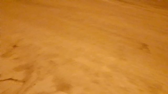 Ночной снежок