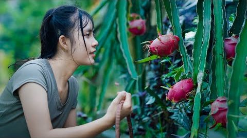 Вяленая хурма, вино из питайи, лунные пряники... — встреча с семьёй в честь Праздника середины осени смотреть онлайн