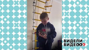 Кошка - в подарок. Видели видео? Фрагмент выпуска от 28.12.2025