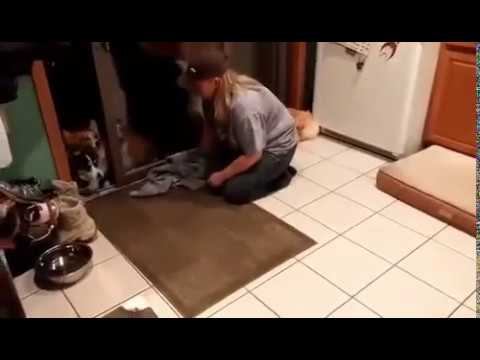 Где Ваша сменка? Вход в школу! смотреть онлайн