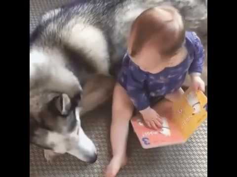 Сегодня изучаем алфавит, скажи А смотреть онлайн