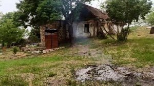 28 и 30 мая 2025г.Ветер стих. У Буси новый имидж)