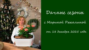 Дачные сезоны с Мариной Рыкалиной от 18 декабря 2025 года