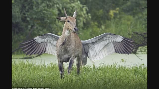 Удачные ракурсы и оптические иллюзии 1 часть смотреть онлайн