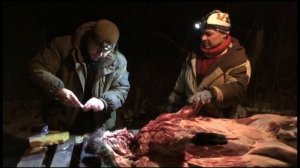 Экспресс-тест на трихинеллез мяса дикого кабана