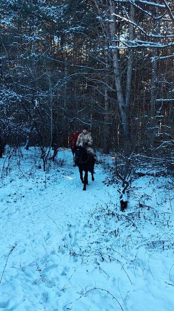 Всадники в зимнем лесу 🏇🏇🏇 смотреть онлайн