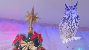 ПОДГОТОВКА К НОВОМУ ГОДУ! СТАВЛЮ ЁЛОЧКУ