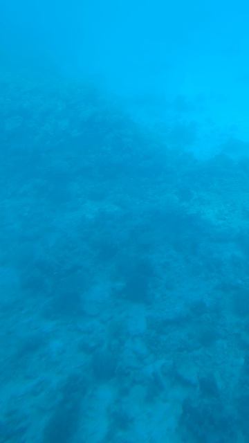 Кораллы смотреть онлайн