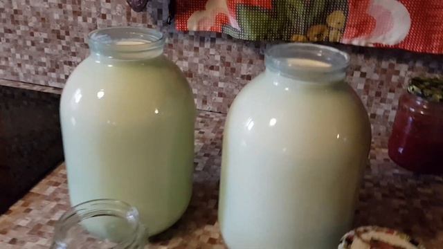 Влог/Приехали с рынка, обед из того, что было, снимаю сливки, новый дом для щенков смотреть онлайн