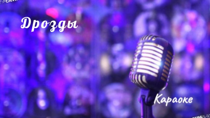 Дрозды-караоке смотреть онлайн