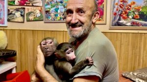 ЭТО просто СМЕХ! Люся вся в Анфисе и ревнует даже Дениса к папе и малышке!