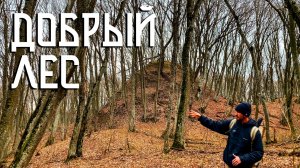 Добрый Лес / Один в Буковом Лесу / Загадочные Холмы