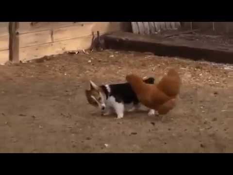 Давай дружить смотреть онлайн