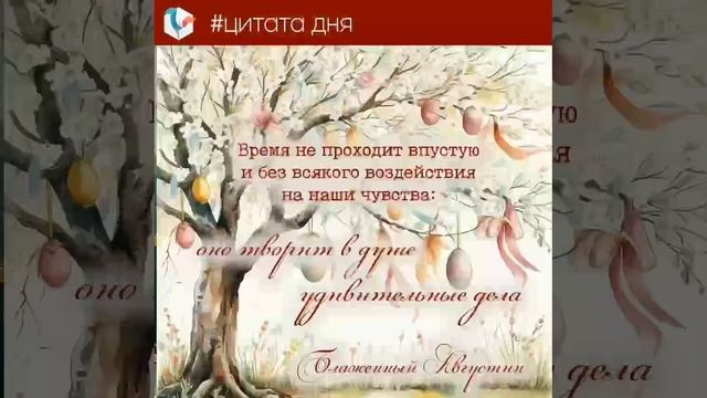 🎅Выбери свою #цитату_дня!