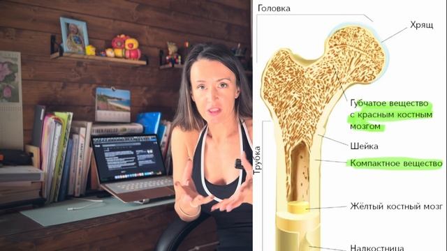 Как ПРЕДОТВРАТИТЬ ОСТЕОПОРОЗ|Крепкие кости после 50 ле смотреть онлайн