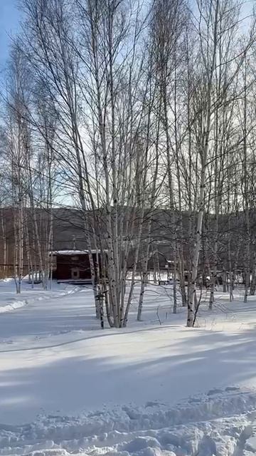 Дом. Кай и Герда.
