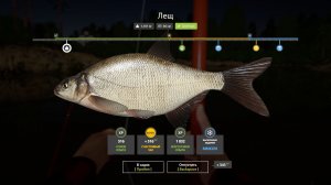 Русская Рыбалка 4-Новогодние Задания 2026: Лещ не менее 1 кг, на Маховое удилище р. Вьюнок