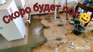 Начали заливать полы на кухне, готовимся к новому году, перевезли всех попугаев.