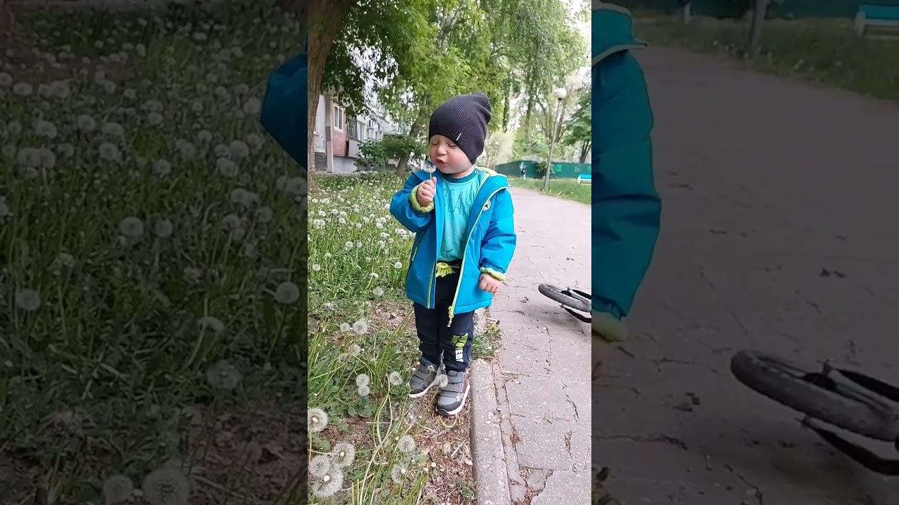 Пока папа на стройке смотреть онлайн