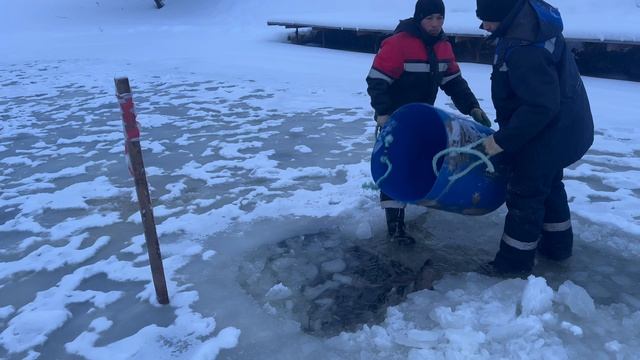 copy_14145274-BF2D-4A66-8D02-C1207F712472 смотреть онлайн