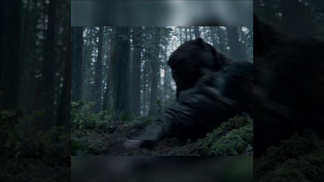 Нападение медведя смотреть онлайн