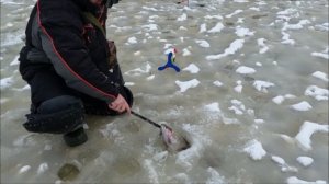 Обзор с верхнего водоёма. Клёвое место, Лосиный остров.