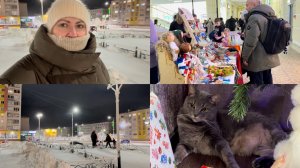Норильск/ Ярмарка/ Покупки/ Предновогодняя суета.