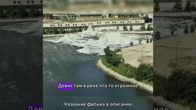 Аллигатор смотреть онлайн