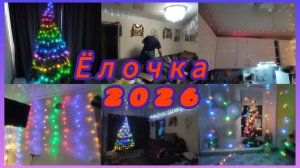 НАРЯДИЛИ ЁЛОЧКУ. УКРАСИЛИ КВАРТИРУ