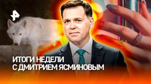 Новые успехи на СВО: освобождение городов / Рождество под угрозой /Русские волки-агенты/ИТОГИ НЕДЕЛИ