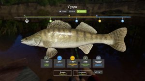 Русская Рыбалка 4-Новогодние Задания 2026: Поймать Судака р. Вьюнок