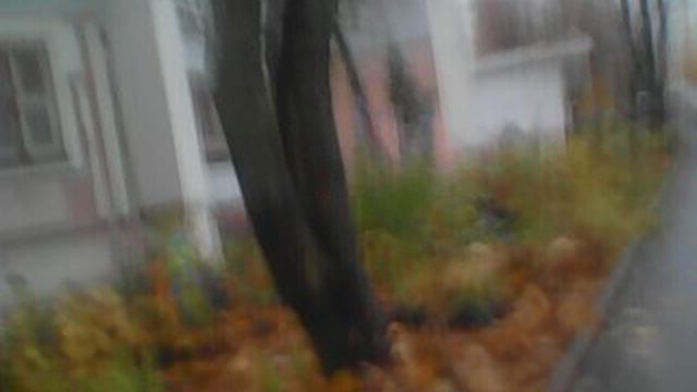 НОЯБРЁВСКИЙ УЛИЧНЫЙ МИНИ-БЛОГ №1563 ПРОГУЛОЧКА ПО БУТОВО ОТ МАГАЗА И ДО ПАДИКА (04.11.2025г) смотреть онлайн