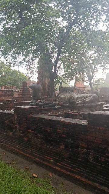 Взгляд сквозь 400 лет дождей