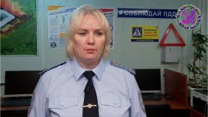 Сводка ГИБДД