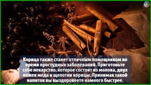 Всё, что надо знать о корице: польза, вред и как выбрать