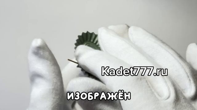 кокарда камуфляжная пограничных войск