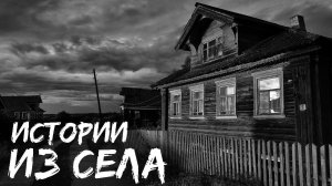 ИСТОРИИ ИЗ СЕЛА. Как жилось в селе. Три истории из жизни.